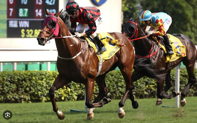 香港賽馬的三寶投注規則說明 | 買三寶如何獲勝?